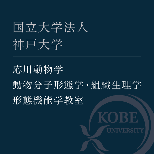 応用動物学 動物分子形態学・組織生理学（形態機能学教室）のウェブページ